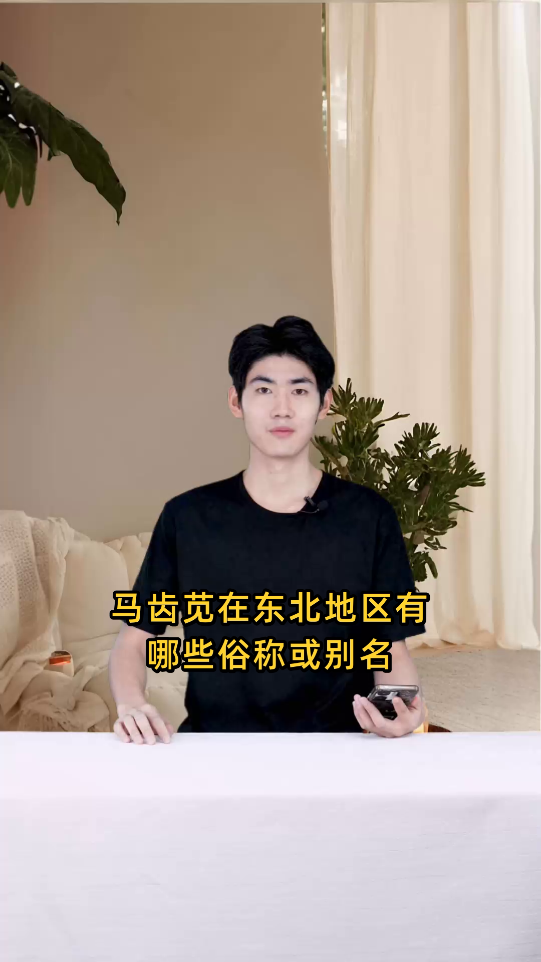 马齿苋这种植物在东北地区还有哪些俗称或者别名?