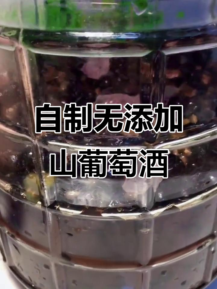 家庭自制无添加山葡萄酒,简单步骤教你酿造原汁酒