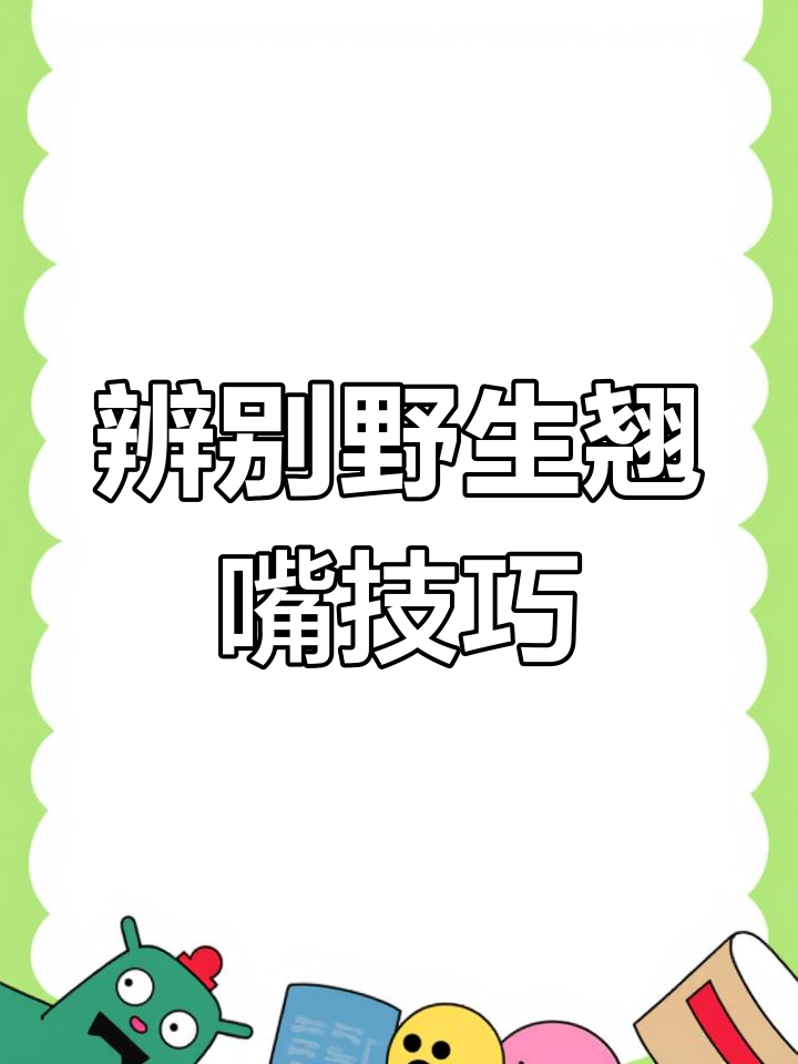 如何区分野生与养殖翘嘴鱼?看这些关键特征