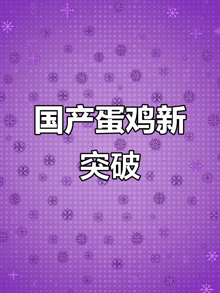国产蛋鸡崛起,北农大育出优质品种!