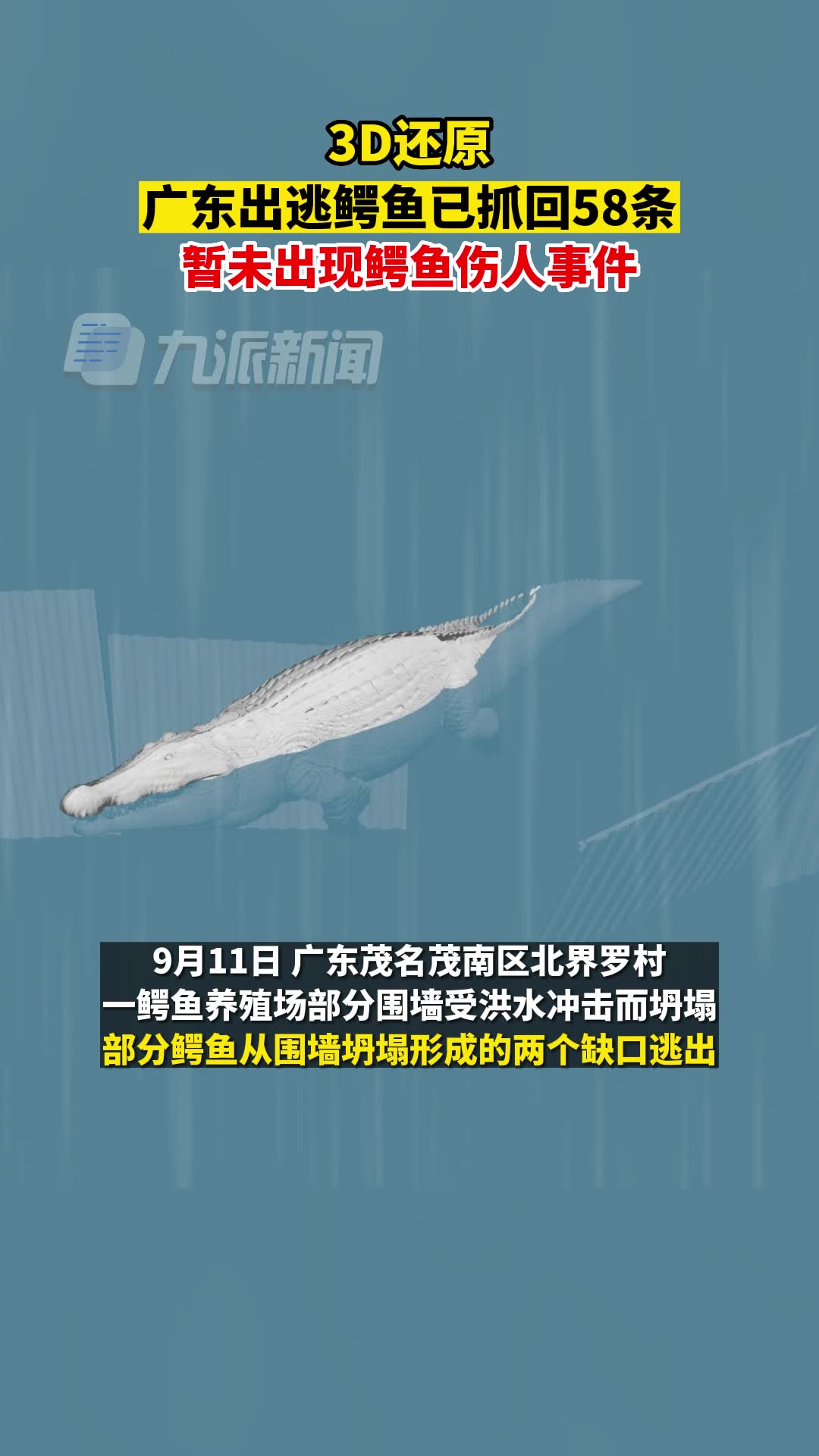 9月15日,3D还原广东鳄鱼出逃事件:已抓回58条,暂未出现鳄鱼伤人事件