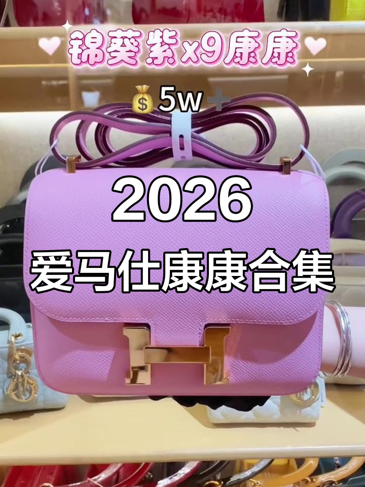 爱马仕康康包全系列:黑金、大象灰、梦幻紫,每一款都让人心动