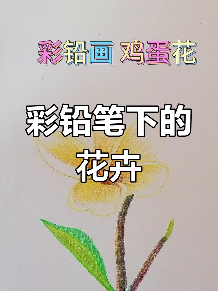 彩铅画鸡蛋花技巧解析