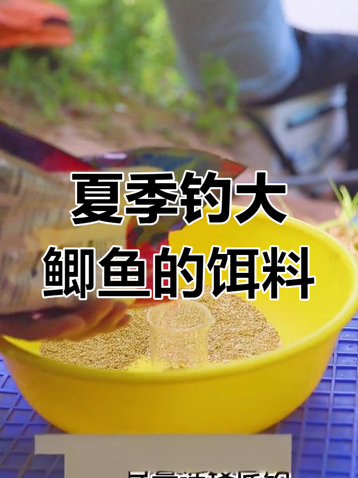 夏季钓大鲫鱼必备饵料配方,高温下也能轻松狂拉