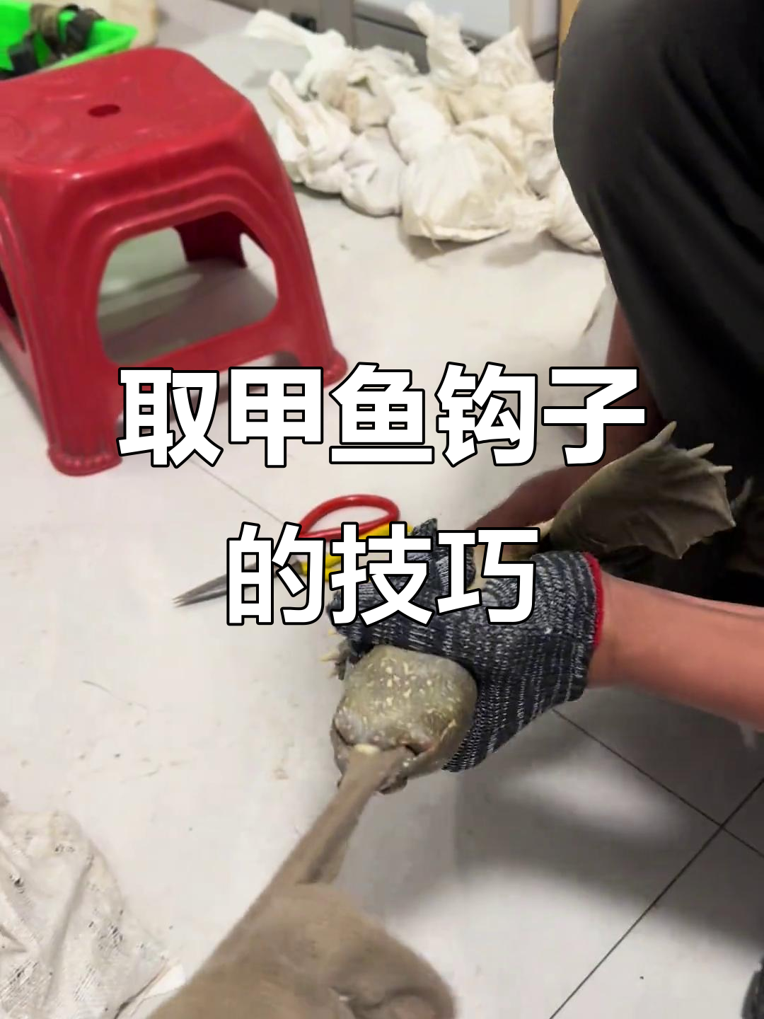 甲鱼取钩子全过程,轻松搞定!