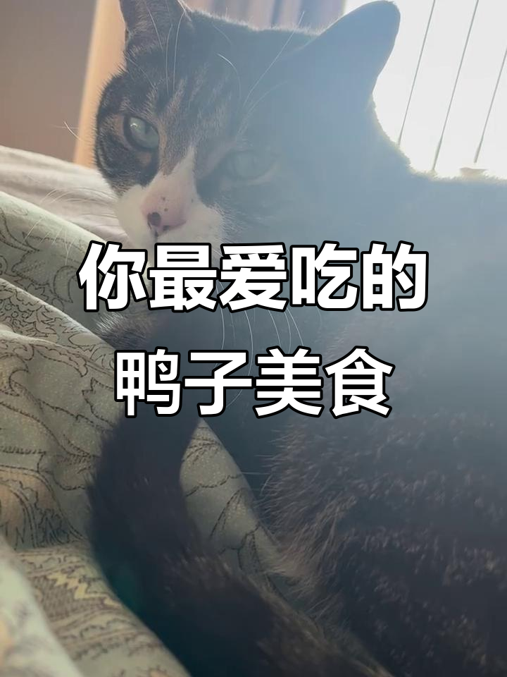鸭脖、黑鸭翅与蛋黄馄饨,哪种最适合你?