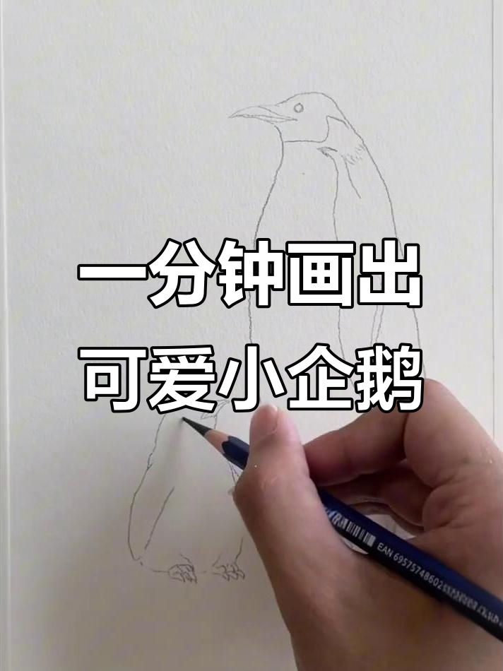 炭笔轻松画企鹅,秒变南极萌宠!