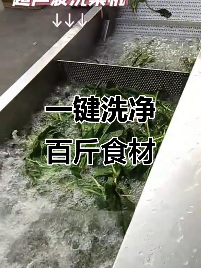 超声波洗菜机,清洗百斤蔬菜无压力,环保又节能