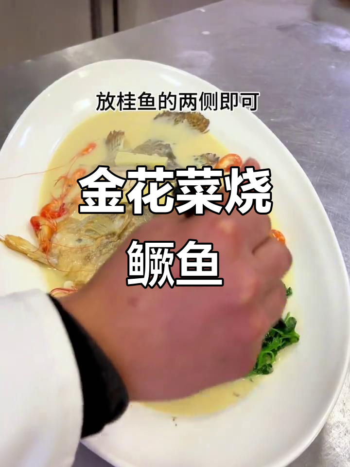 金花菜烧鳜鱼,思念在午夜蔓延