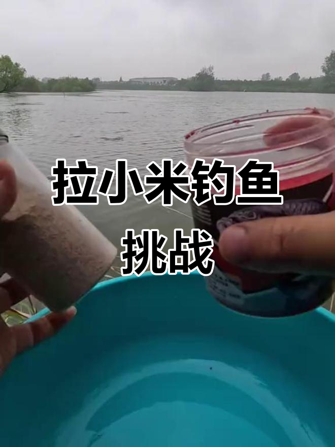 涨水钓鲫鱼,辣小米效果如何?