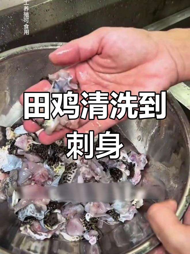 如何将田鸡清洗至刺身级别,带皮处理技巧全解析