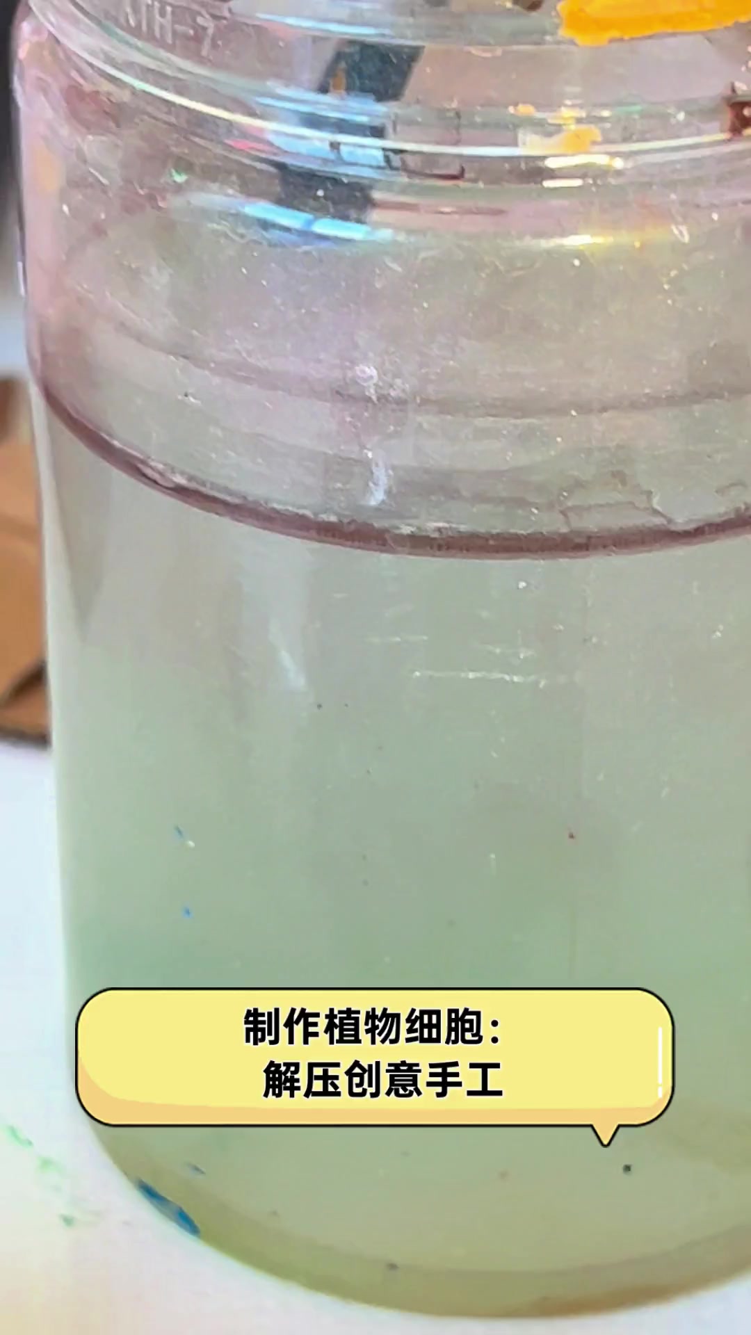 制作植物细胞:解压创意手工