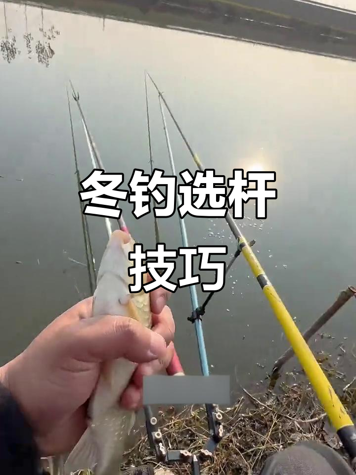 冬季钓鱼,5.4米与7.2米的鱼竿哪个更有效?