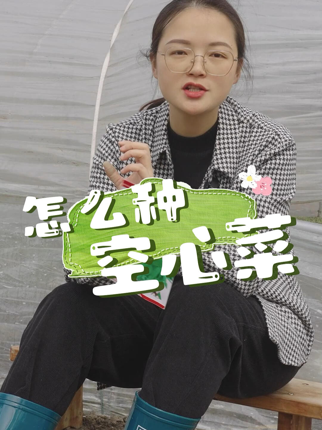 空心菜怎么种?种植时间和方法是什么?