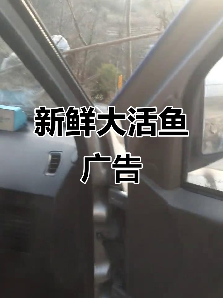 卖鱼也能做广告，新鲜大活鱼的神奇魅力