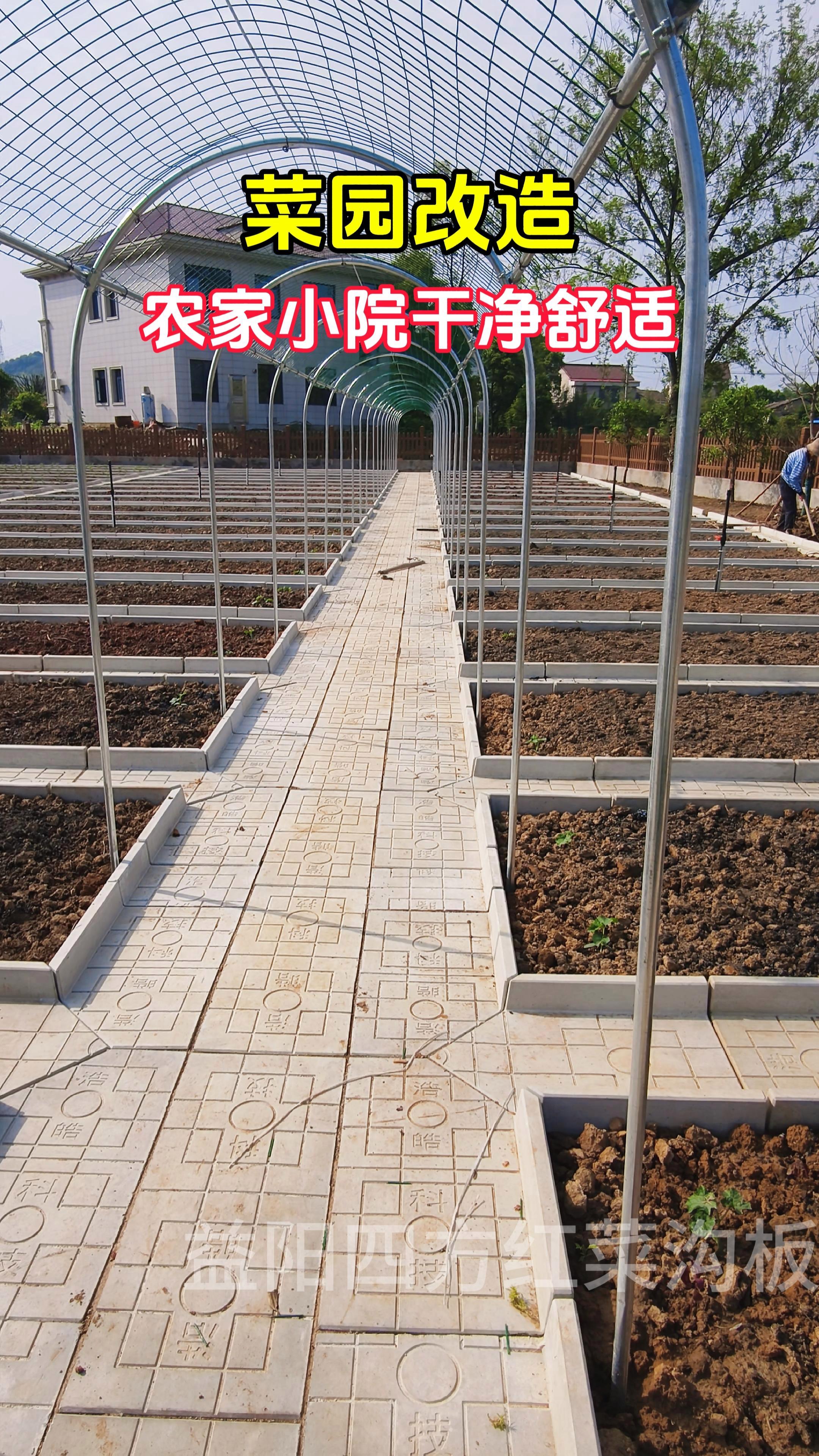 菜园改造,农家小院干净舒适 田园生活 菜园 田园小院 菜沟板 新农村