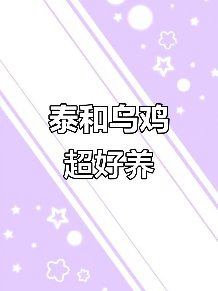 正宗泰和乌鸡,呆萌可爱,顺丰包邮送到家