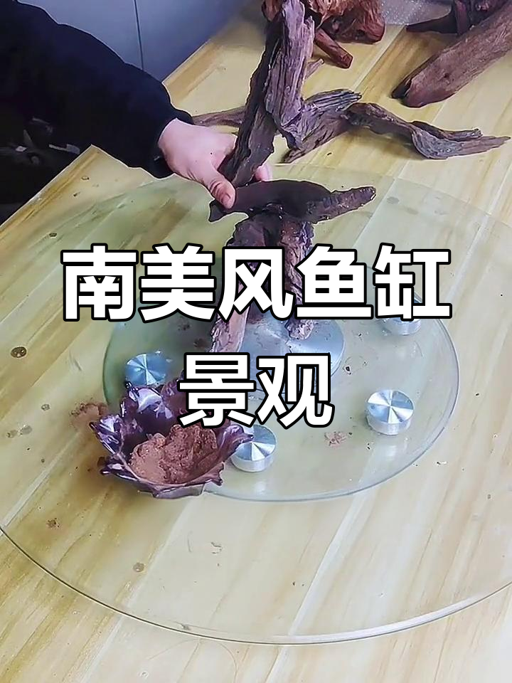 鱼缸南美风格造景,简单步骤教你搞定