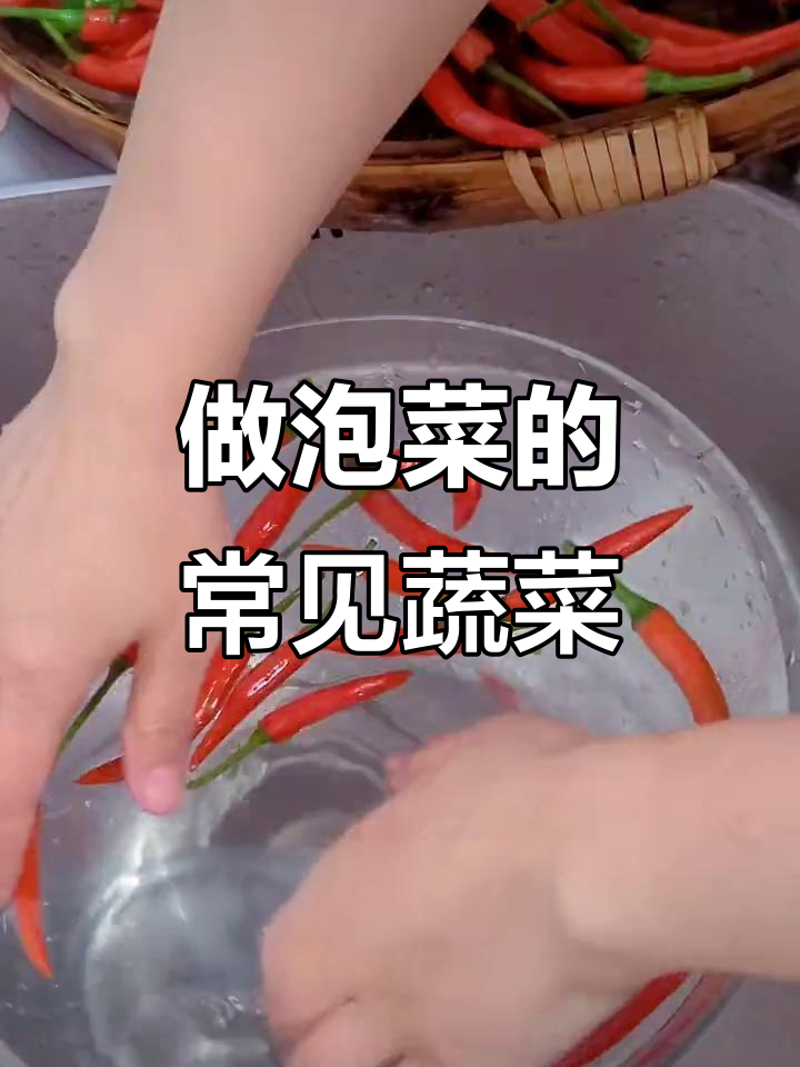四川泡菜必备食材大揭秘,这些蔬菜最适合做酸菜