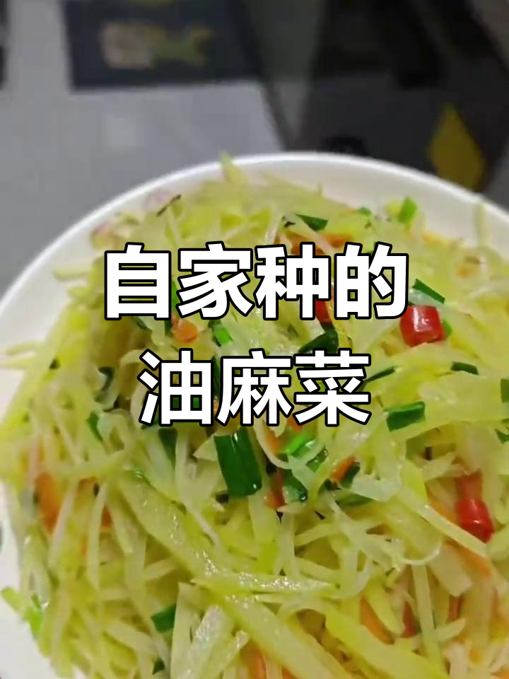四楼自种油麻菜,土货美味来袭