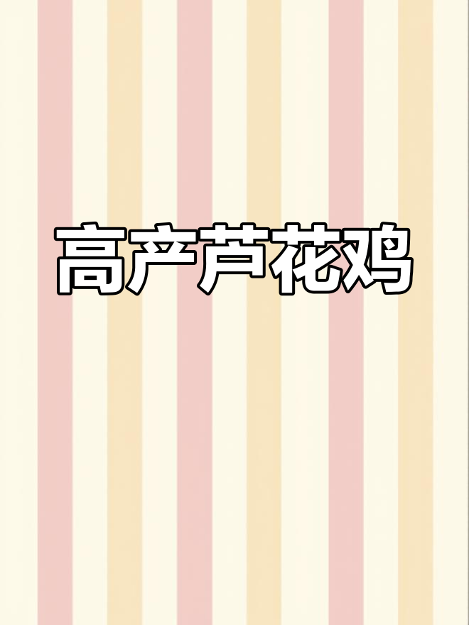 芦花鸡:适应性强,营养价值高