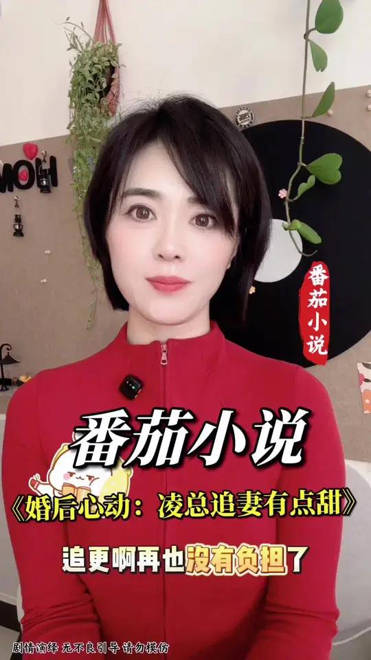 寒假追好看小说#《婚后心动：凌总追妻有点甜》