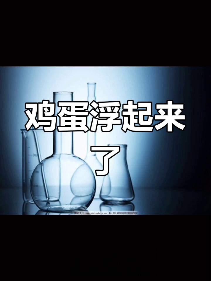 鸡蛋浮水实验,见证奇迹的时刻