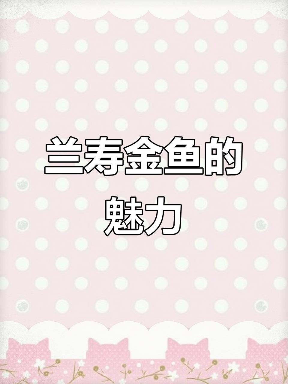 兰寿金鱼,渔场精选,视频展示它们的迷人魅力