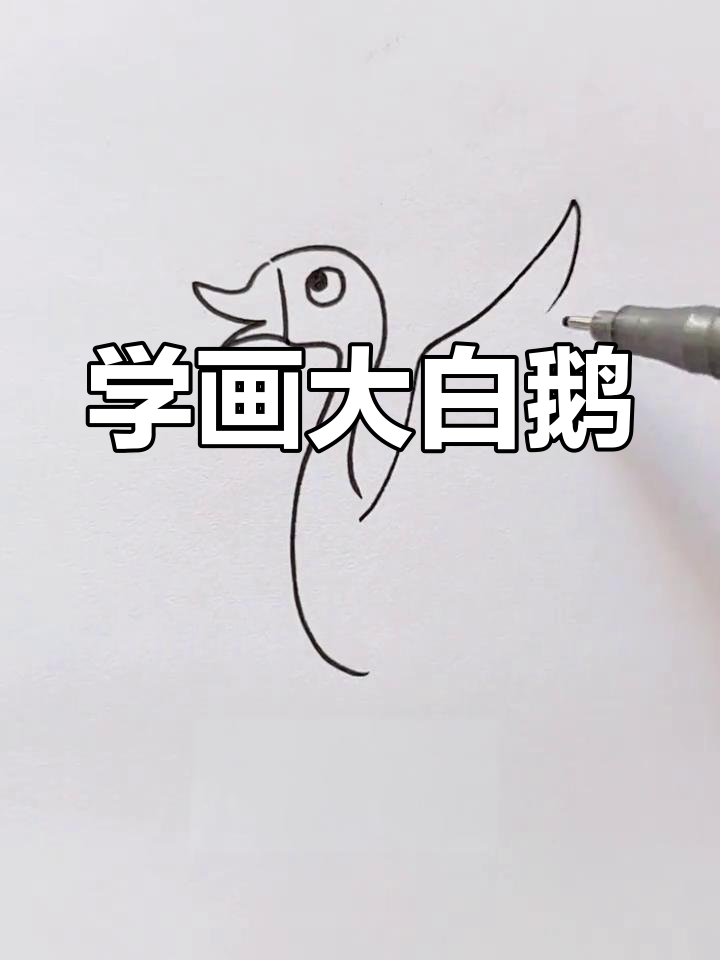 轻松学画大白鹅,简笔画教程
