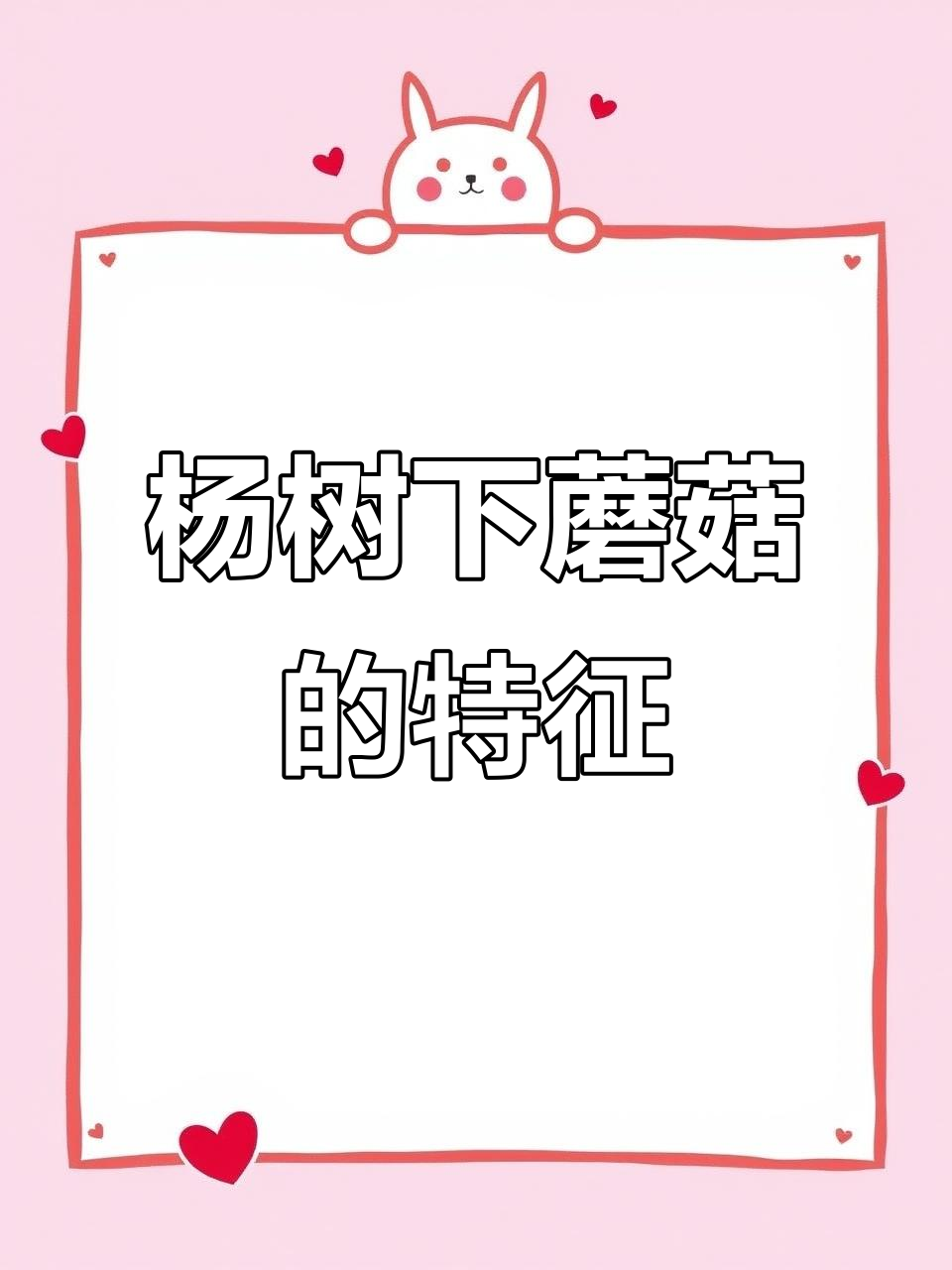 东北杨树口蘑:三大特征让你一眼认出