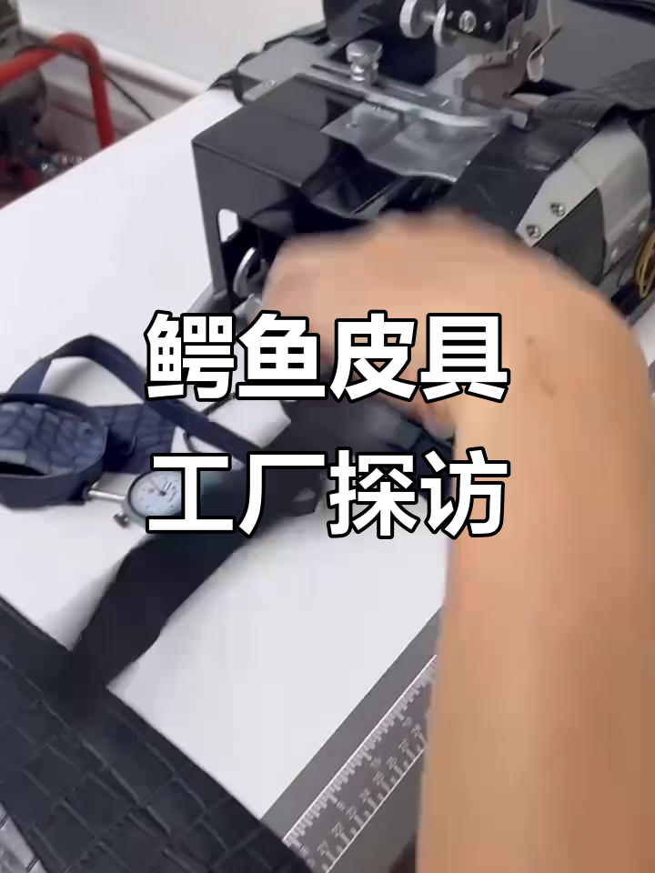 1953年鳄鱼皮具工厂内部实拍,私人定制全过程揭秘