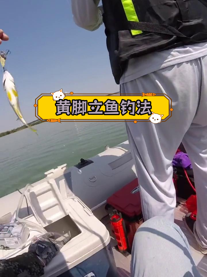 西江水道钓鱼攻略,黄脚立鱼群探秘