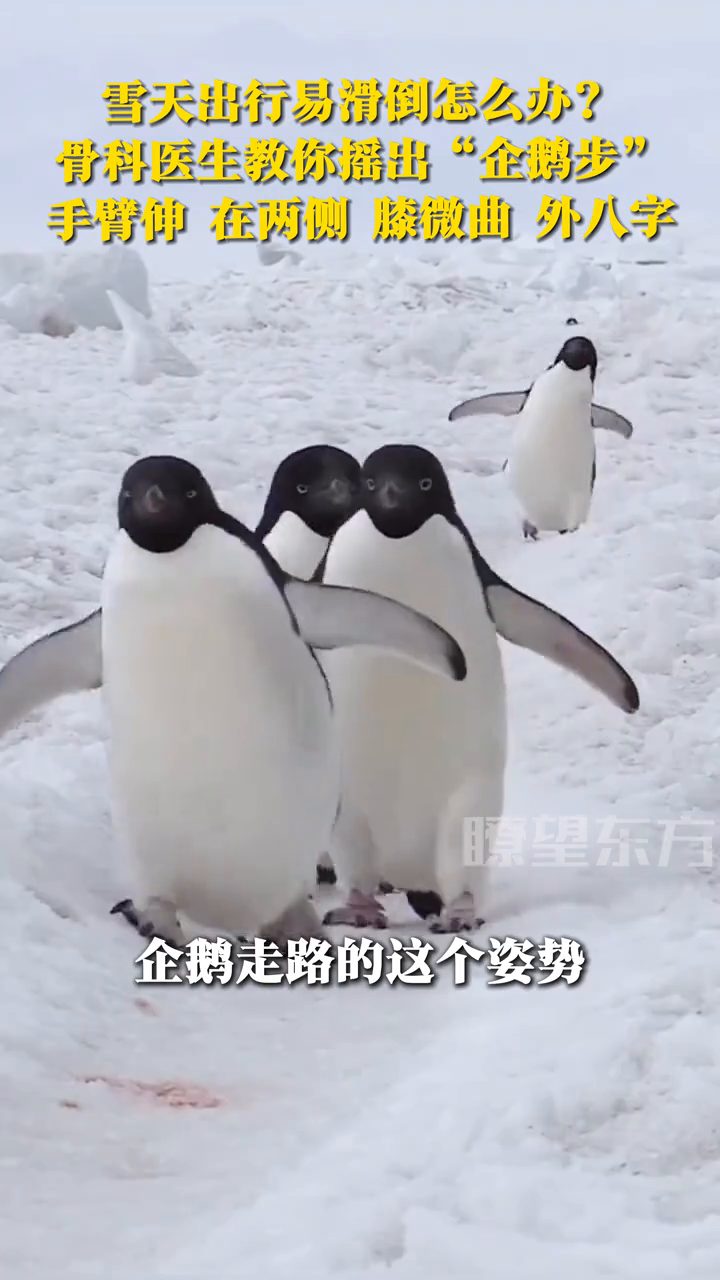 雪天出行易滑倒怎么办？骨科医生教你摇出“企鹅步”
