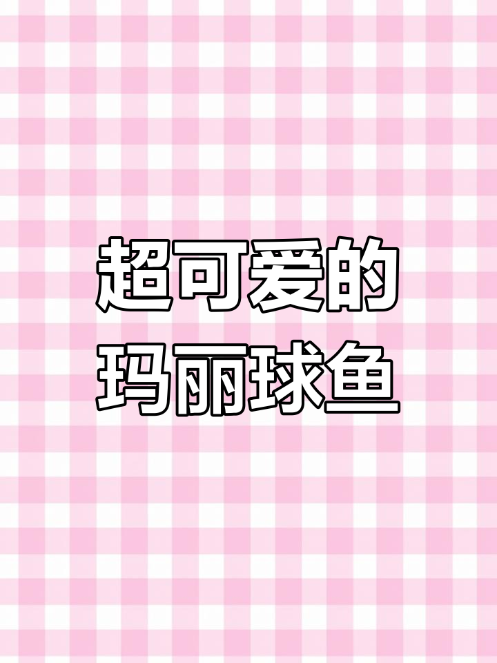 呆萌可爱玛丽球鱼,吸尘器般的清洁力