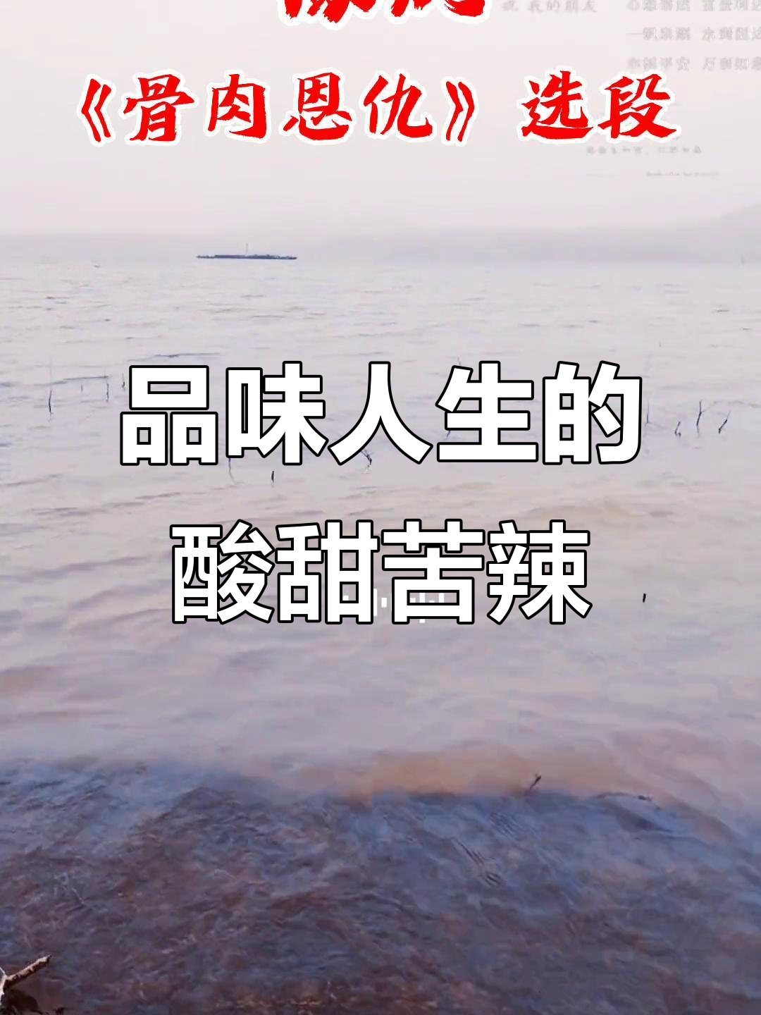 岁月如歌,人生百味
