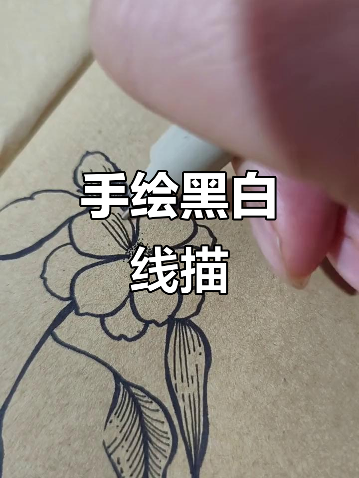 黑白线描画:手绘简笔画技巧大揭秘