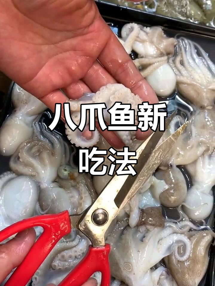 八爪鱼蒸熟后,内脏无需处理,直接爆头吃更过瘾!
