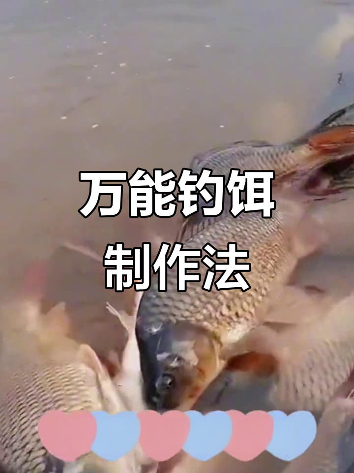 冬季钓鱼必备饵料配方，轻松诱鱼开口