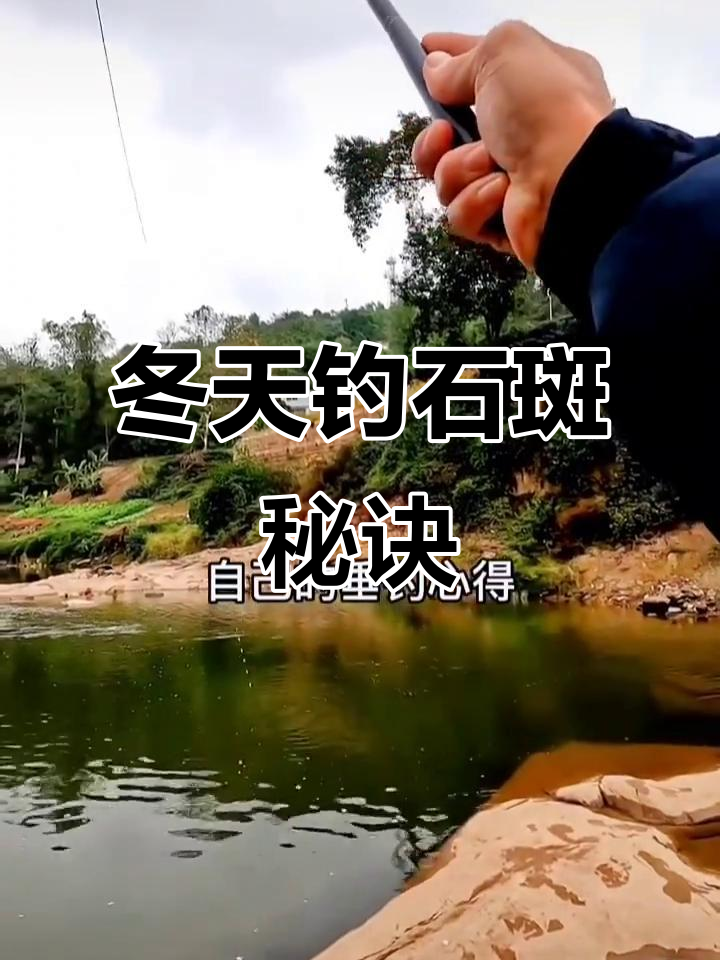 冬季钓石斑鱼技巧,选对位置轻松捕获