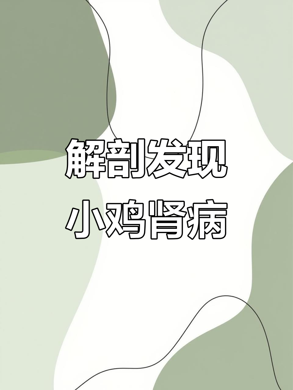 小鸡花斑肾病变，死亡原因竟与肾脏有关