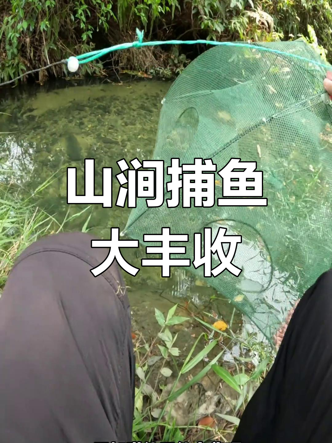 深山溪流捉青剑鱼,意外收获满满!