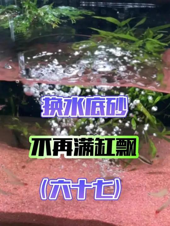 从0开始学养鱼「第六十七节」换水如何避免底砂被冲的满缸飞?新手养鱼 鱼缸换水 鱼缸换水神器