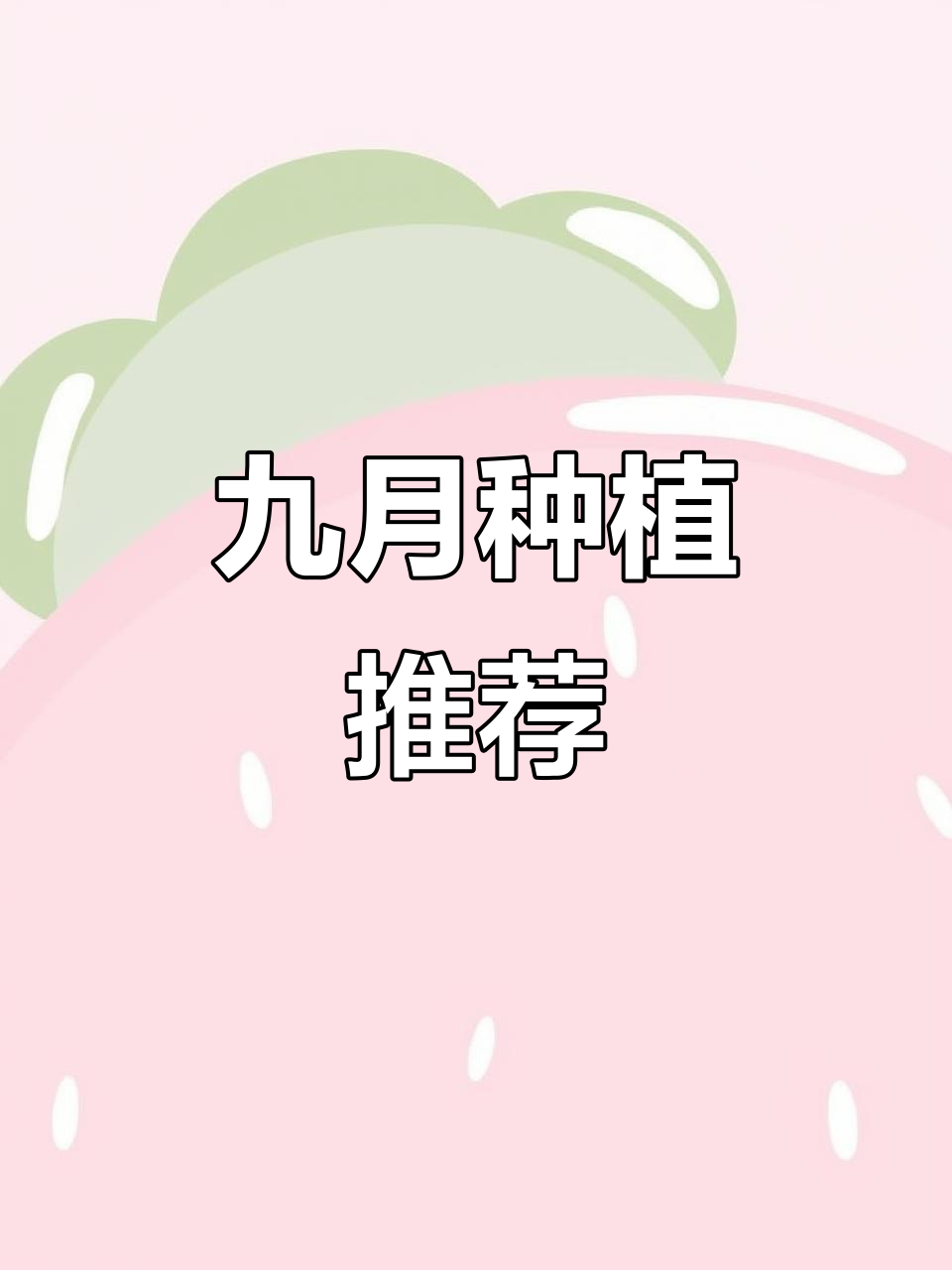 九月份适合种什么蔬菜?这些品种最容易生长