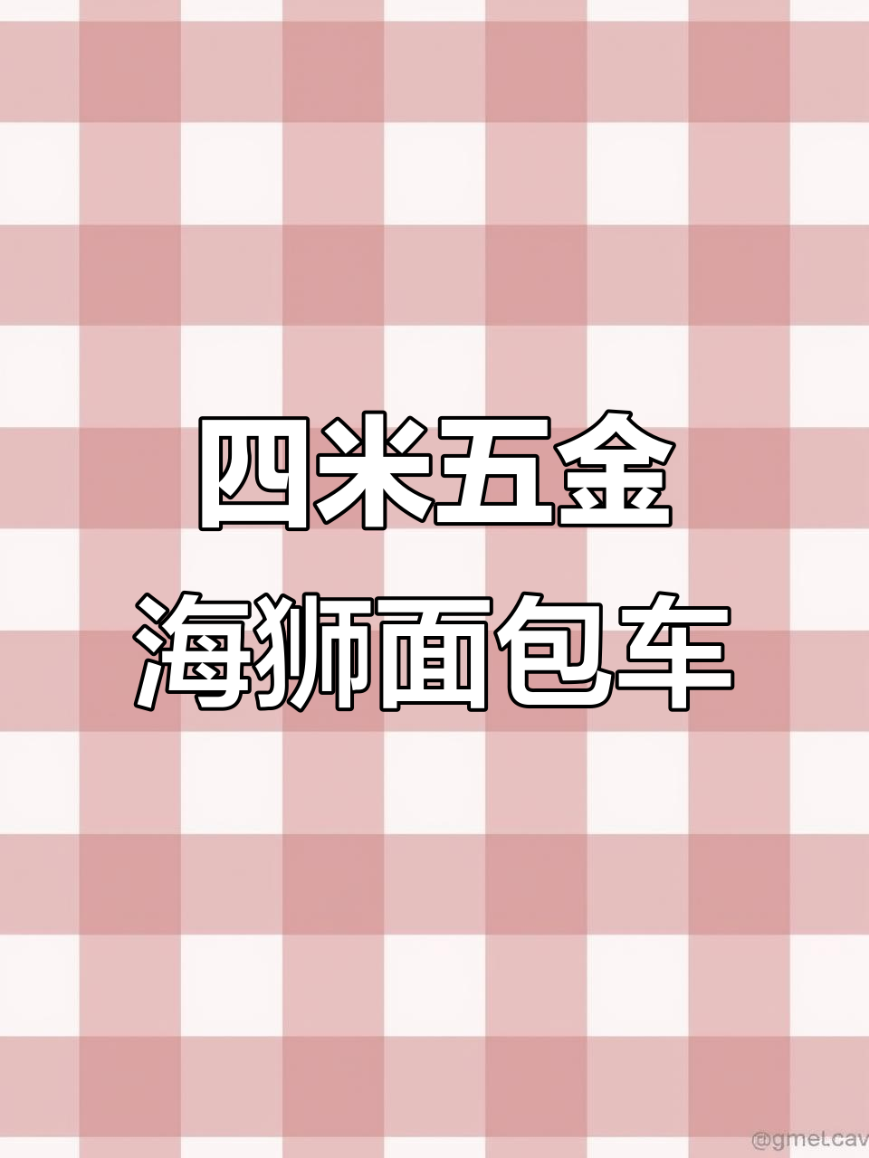 金海狮面包车:四米五长,双侧对开门设计,载货空间大