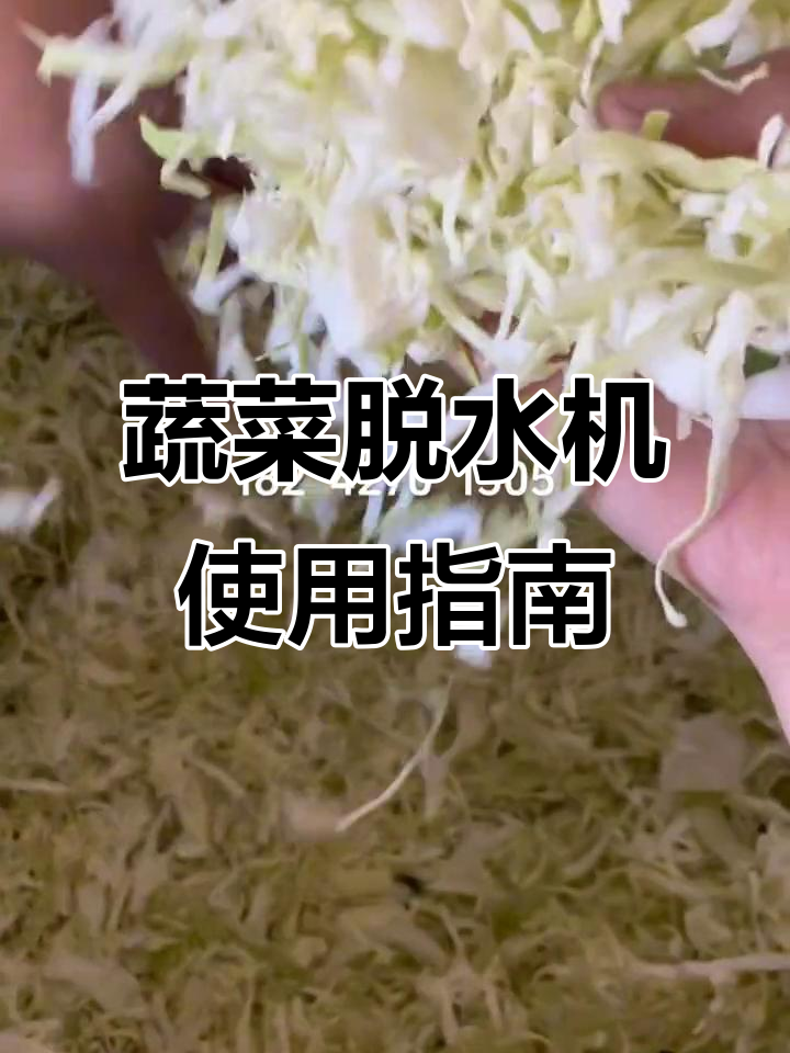 蔬菜脱水机大揭秘:如何快速甩干切丝切片,操作超简单