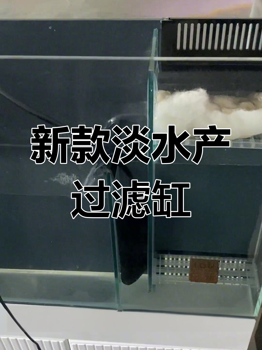全新升级淡水背滤缸,干湿分离设计让水质更清新