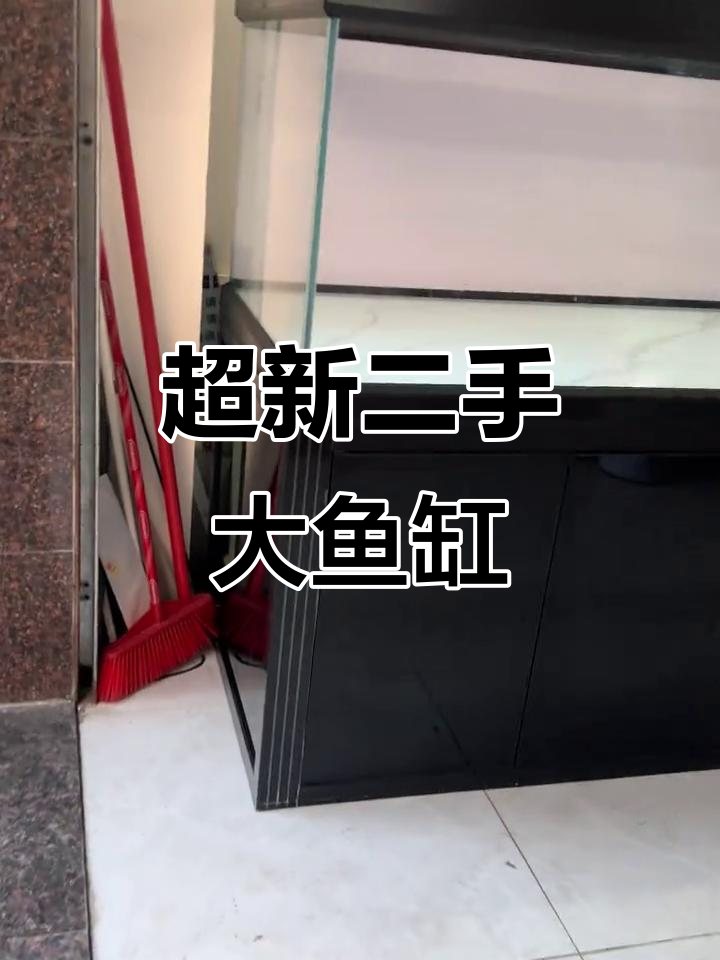 二手大鱼缸,超新钢材质与双面背景纸设计