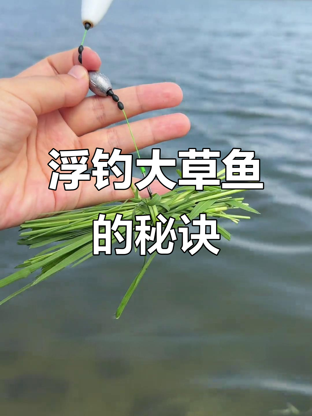 海竿浮钓草鱼技巧,轻松掌握夏季钓鱼法