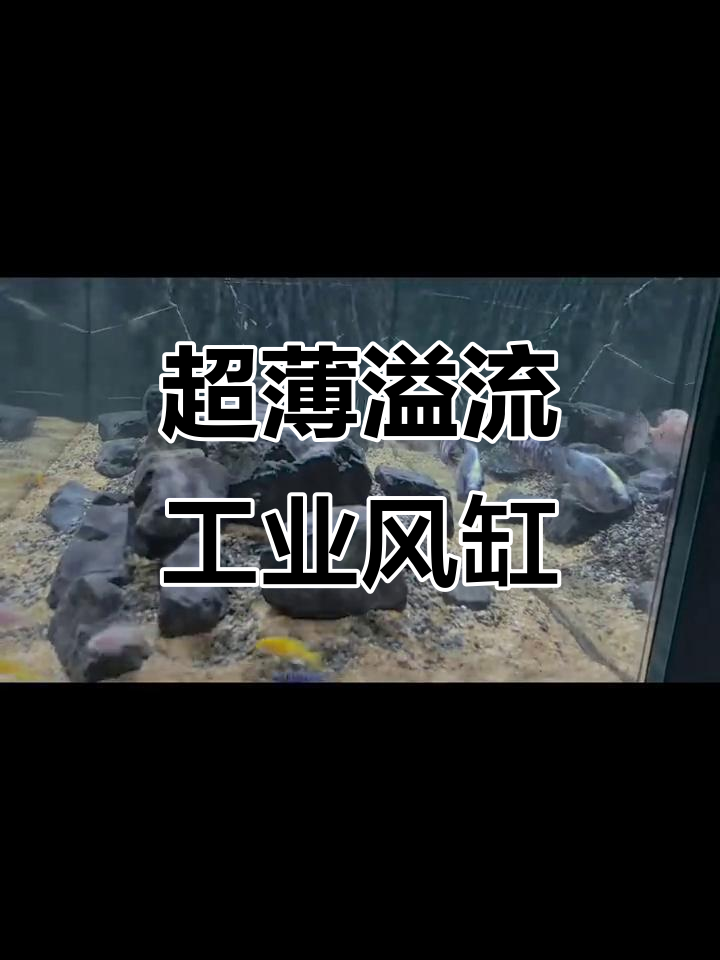 重庆二十年鱼缸定制工厂，极窄溢流工业风溪流缸全新设计