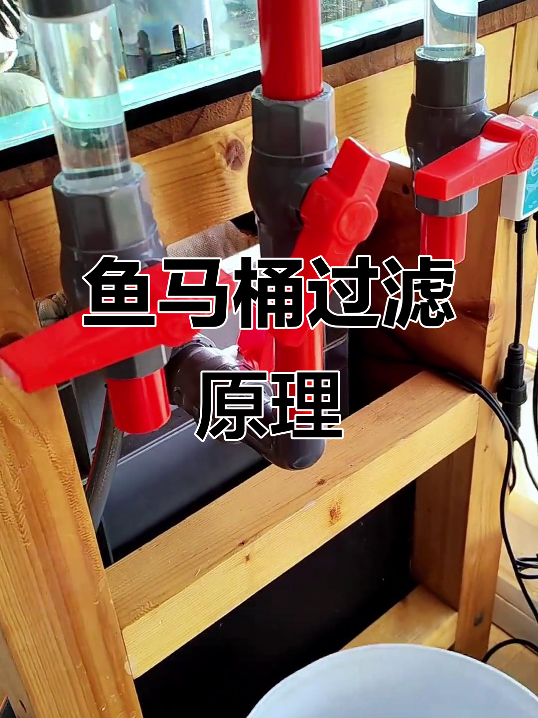 鱼缸过滤系统揭秘:虹吸底滤与空气缸的完美配合